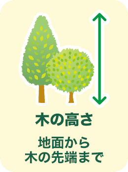 木の高さ