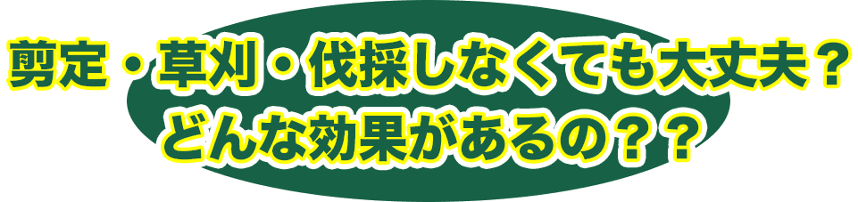剪定・草刈・伐採しなくても大丈夫？どんな効果があるの？？