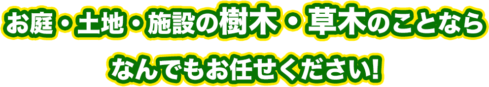 お庭・土地・施設の樹木・草木のことならなんでもお任せください! 