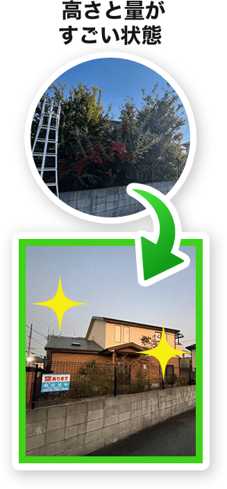  高さと量がすごい状態