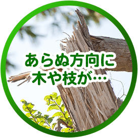 あらぬ方向に木や枝が…
