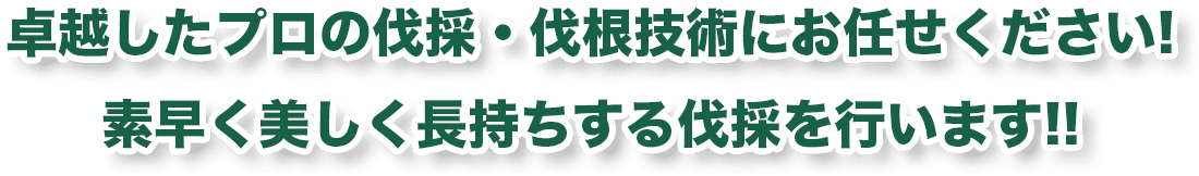 卓越したプロの伐採・伐根技術にお任せください!素早く美しく長持ちする伐採を行います!!