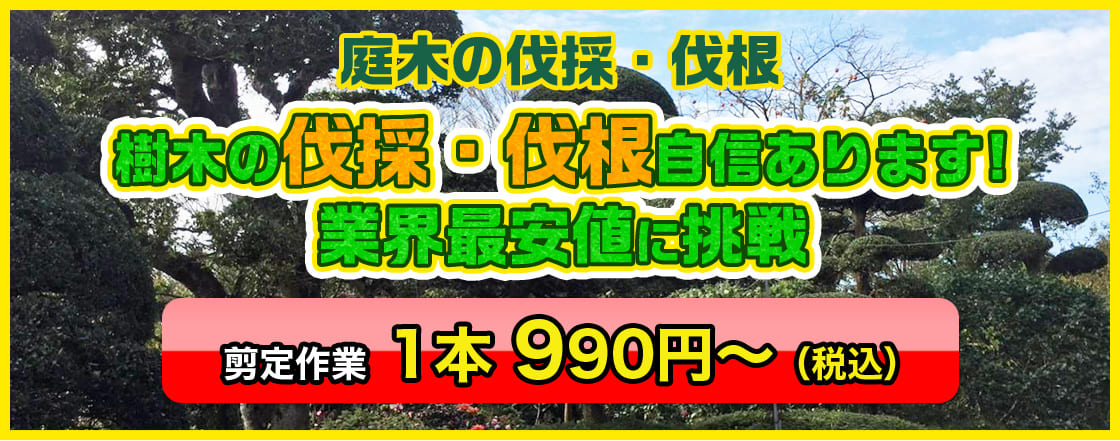 樹木の伐採・伐根自信あります!業界最安値に挑戦