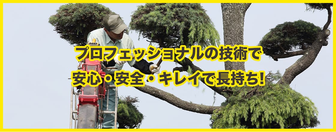 プロフェッショナルの技術で安心・安全・キレイで長持ち!