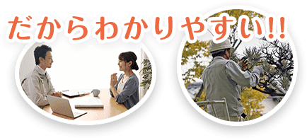 だからわかりやすい!!