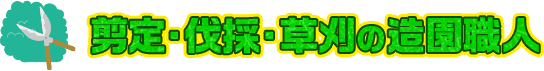 庭木の困りごと即解決！最短30分で伺い、地元の造園職人が剪定・伐採を対応します