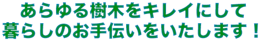 あらゆる樹木をキレイにして暮らしのお手伝いをいたします！