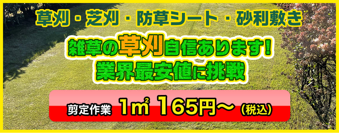 雑草の草刈自信あります!業界最安値に挑戦