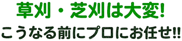 剪定は難しい!こうなる前にプロにお任せ!!