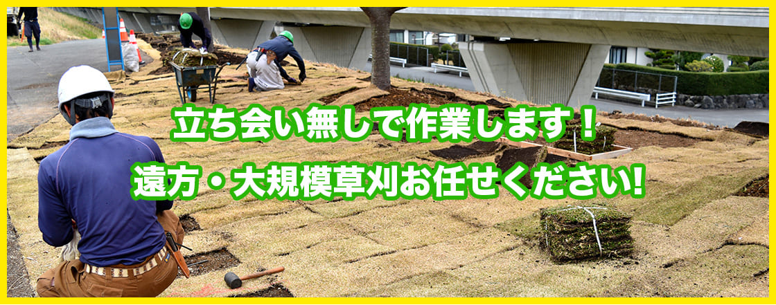立ち会い無しで作業します！遠方・大規模草刈お任せください!