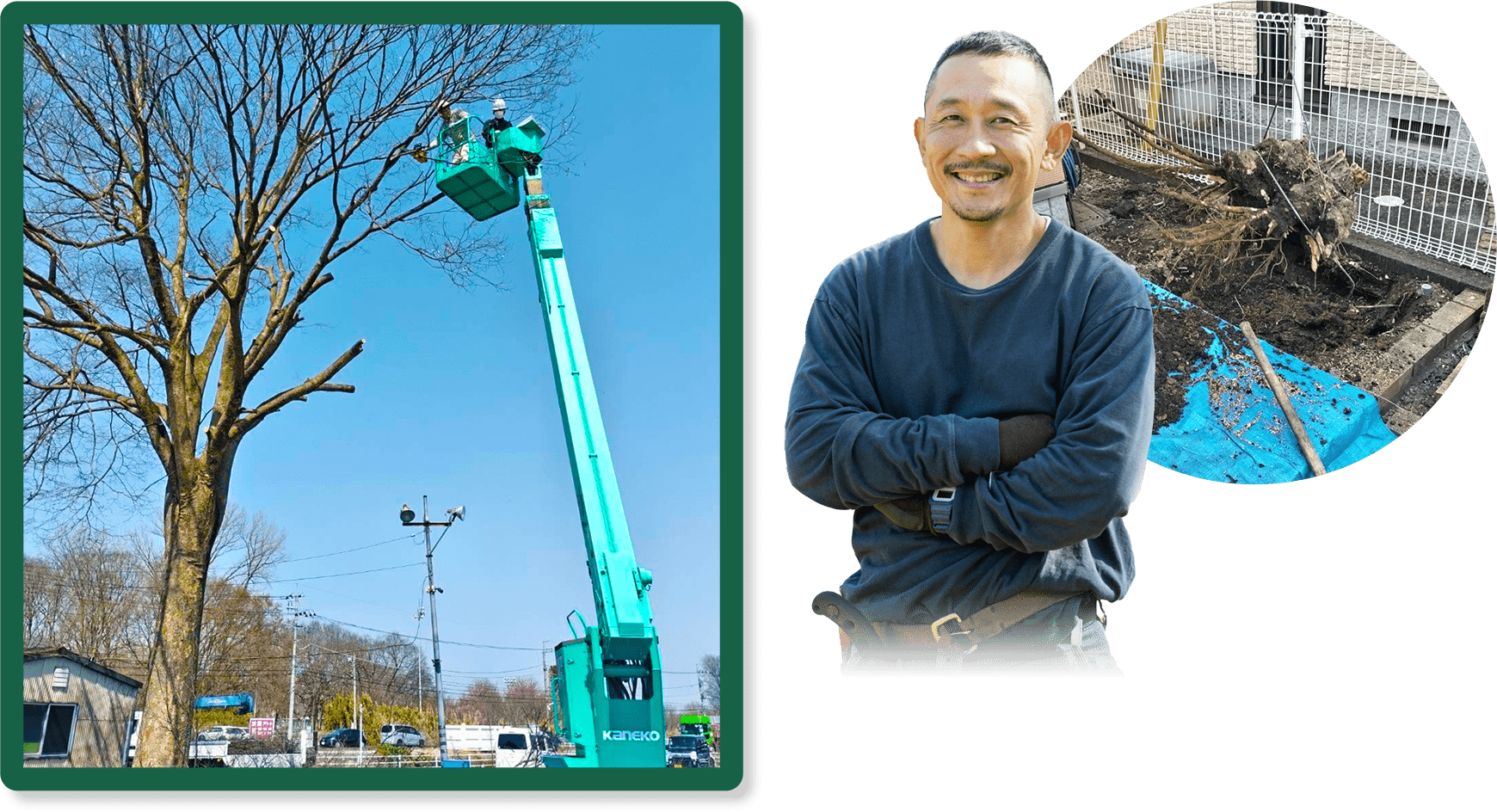 樹木・草木のプロフェッショナル剪定・伐採・草刈りの造園職人