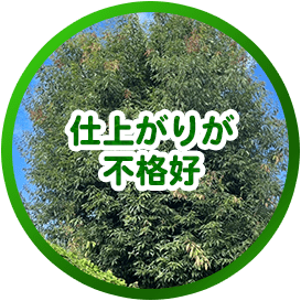 仕上がりが不格好