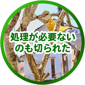 処理が必要ないのも切られた