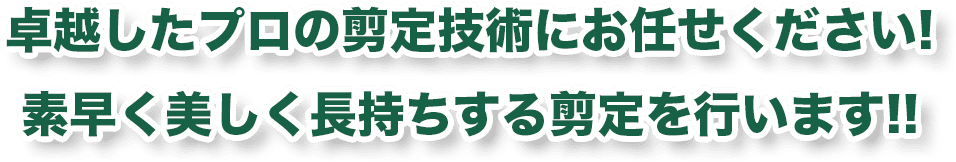 卓越したプロの剪定技術にお任せください!素早く美しく長持ちする剪定を行います!!