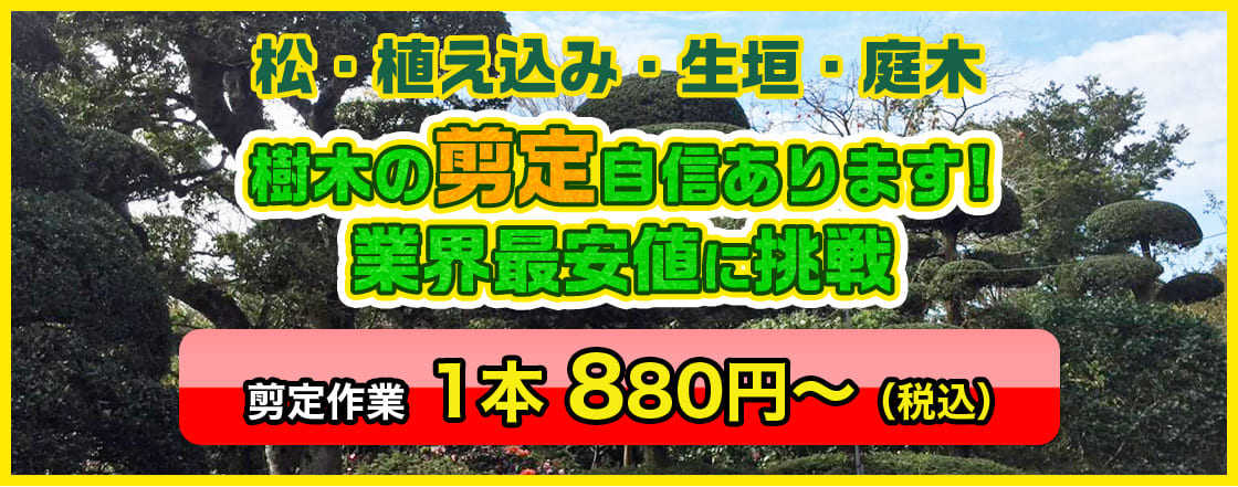 樹木の剪定自信あります! 業界最安値に挑戦