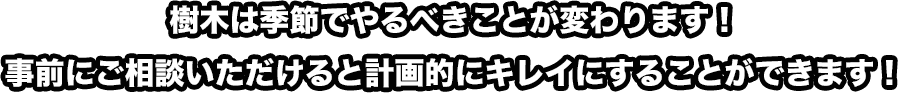 樹木は季節でやるべきことが変わります！事前にご相談いただけると計画的にキレイにすることができます！
