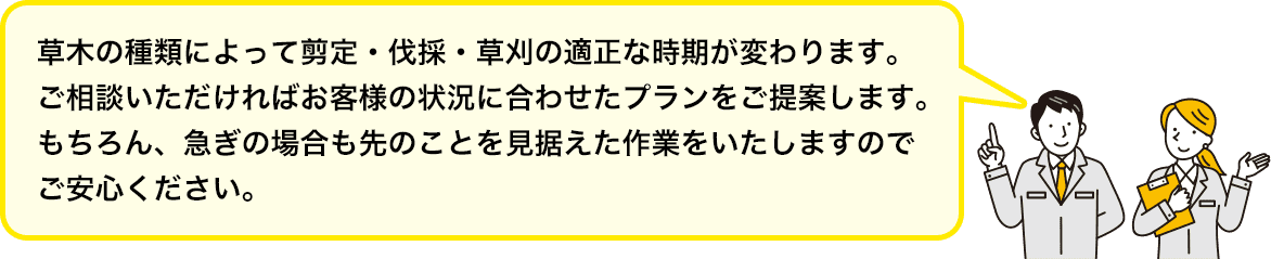 草木の種類によって剪定・伐採・草刈の適正な時期が変わります。ご相談いただければお客様の状況に合わせたプランをご提案します。もちろん、急ぎの場合も先のことを見据えた作業をいたしますのでご安心ください。