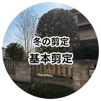 冬の剪定 基本剪定