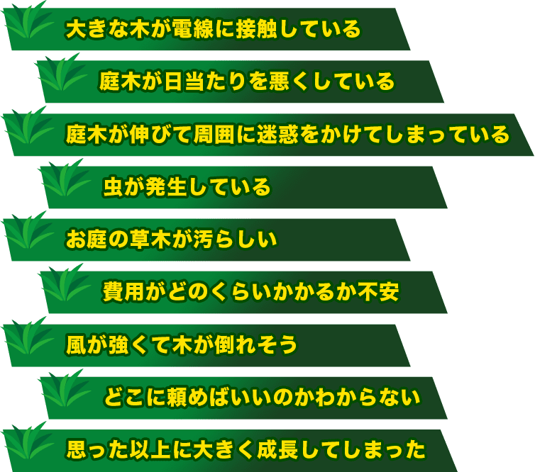 大きな木が電線に接触している 庭木が日当たりを悪くしている 庭木が伸びて周囲に迷惑をかけてしまっている 虫が発生している お庭の草木が汚らしい 費用がどのくらいかかるか不安 風が強くて木が倒れそう どこに頼めばいいのかわからない 思った以上に大きく成長してしまった
